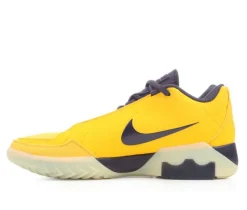 Men's Nike Lebron Witness IX Basketball Shoes