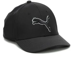 Puma Men's Evercat Dillon 2.0 Stretch Cap