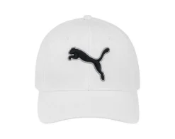 Puma Men's Evercat Dillon 2.0 Stretch Cap