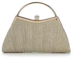 Vanessa Small Pleated Clutch with 2 straps